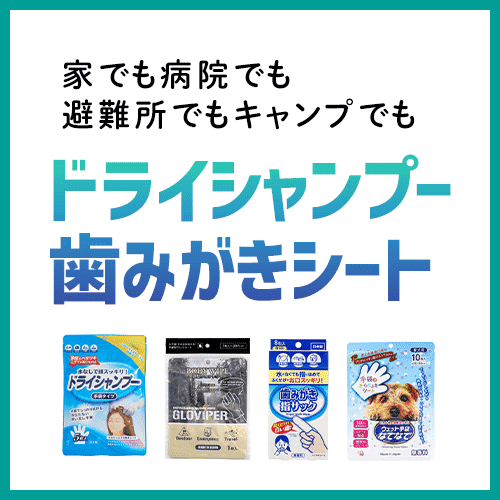 ドライシャンプー,歯みがきシート,水のいらないシャンプー,防災ノベルティ