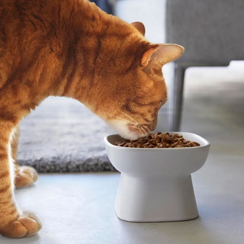 山崎実業 Yamazaki 食べやすい高さ陶器ペットフードボウル タワー