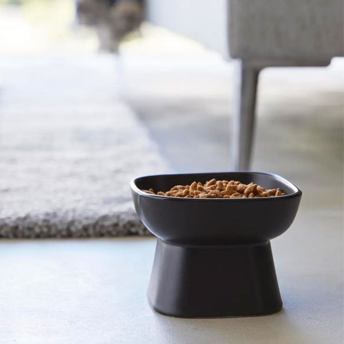 山崎実業 Yamazaki 食べやすい高さ陶器ペットフードボウル タワー