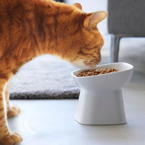 山崎実業 Yamazaki 食べやすい高さ陶器ペットフードボウル タワー 斜めトール