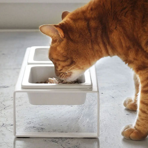 山崎実業 Yamazaki ペットフードボウルスタンドセット タワー トール