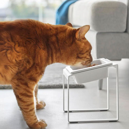 山崎実業 Yamazaki ペットフードボウルスタンド タワー 斜めハイタイプ