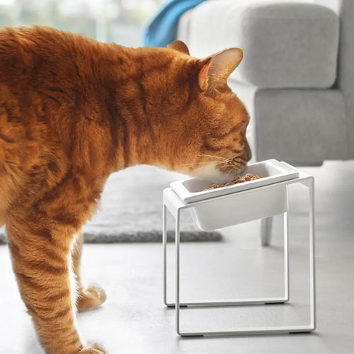 山崎実業 Yamazaki 早食い防止ペットフードボウルスタンド タワー 斜めハイタイプ