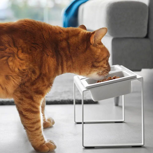 山崎実業 Yamazaki 早食い防止ペットフードボウルスタンドセット タワー 斜めハイタイプ