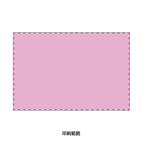 オリジナルレジャーシート