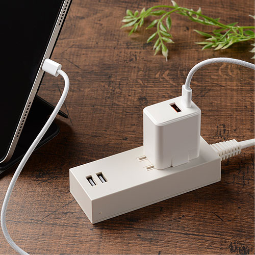 2ポートアダプター 20W