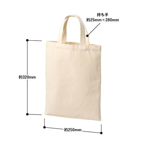 ライトキャンバスフラットバッグ(M)